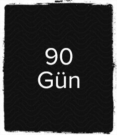 VIP90